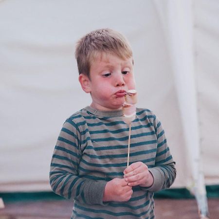 فندق Ty Llewelyn Glamping & Camping لانيدلوز المظهر الخارجي الصورة